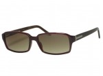 Salvatore Ferragamo 2666 Redish Brown Sunglasses